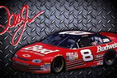 NASCAR - Dale Jr.
